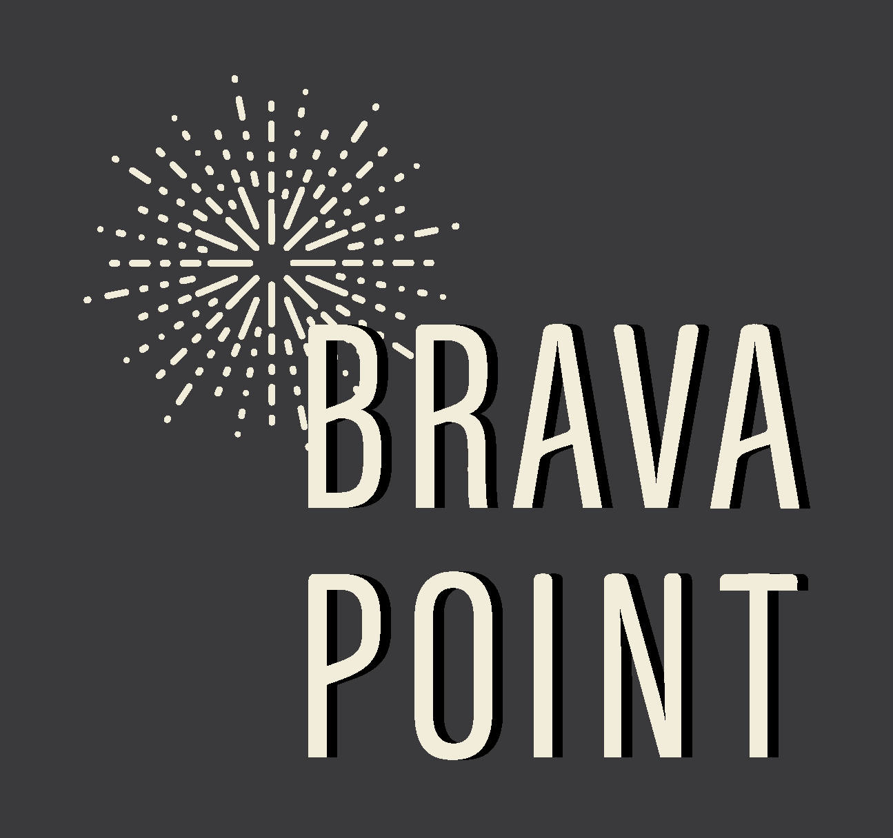 Brava Point LLC Logo